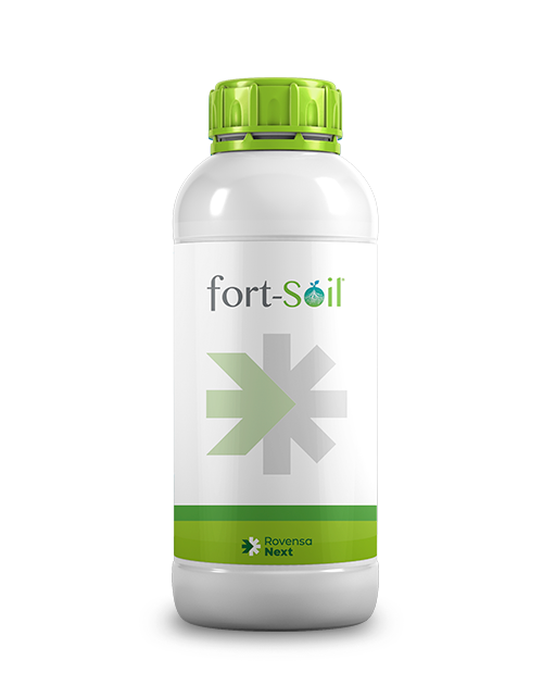 Fort-soil