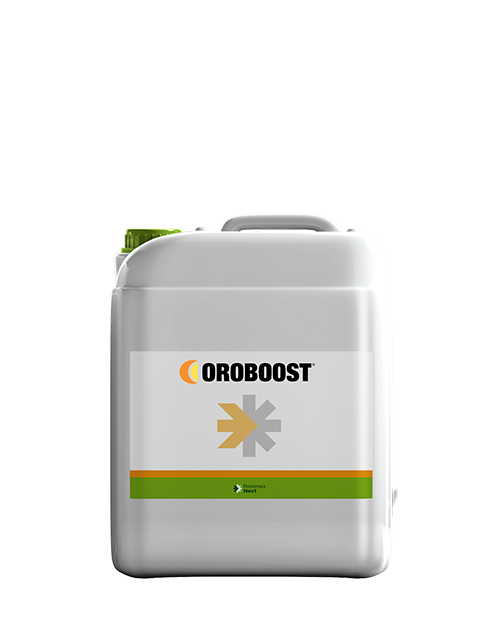 oroboost