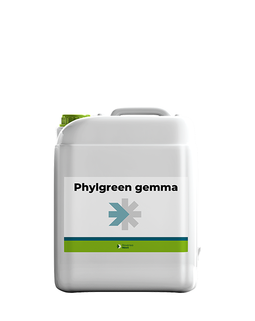 phylgreen-gemma