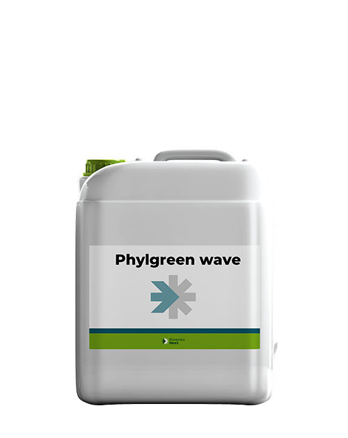 phylgreen-wave