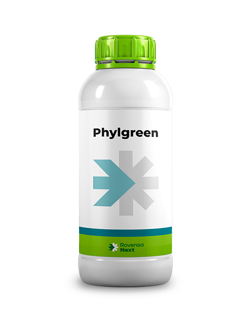 phylgreen