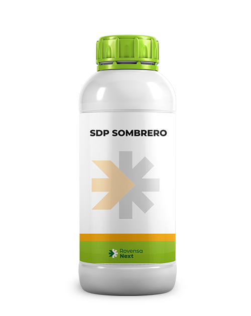 sdp-sombrero