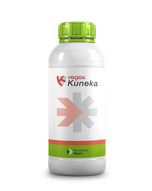 vegex-kuneka