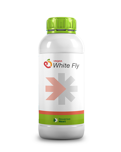 vegex-white-fly