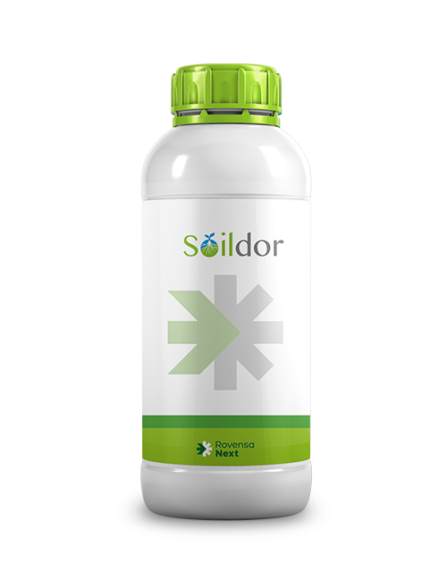 Soildor